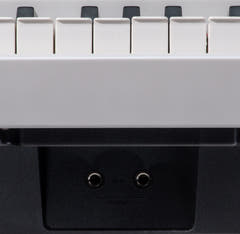 Grooveland P450 Paquete de piano digital (Blanco)