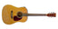 Grooveland Guitarra Western con pickup