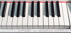 Grooveland DDP-140 Piano eléctrico (White)