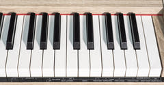Grooveland DDP-140 Piano eléctrico (Madera)