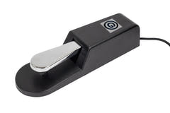 Grooveland DP100 Pedal de Sustain