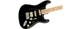 Fender American Performer Stratocaster HSS Electric Guitar (Black)