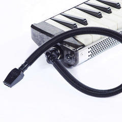 Hammond PRO-44HP V2 High Power Melódicas (Sort)