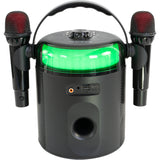 Ibiza Karaoke System w. Bluetooth and 2 Microphones (Black)