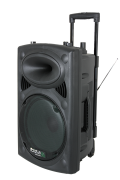 Ibiza Altavoz Portátil con 15" Bajo (Negro, 800W)