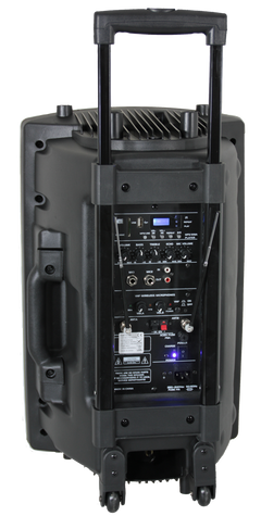 Ibiza Altavoz Portátil con 15" Bajo (Negro, 800W)