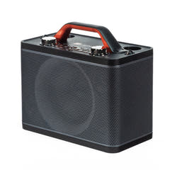 Sistema de karaoke con 2 micrófonos (Negro)