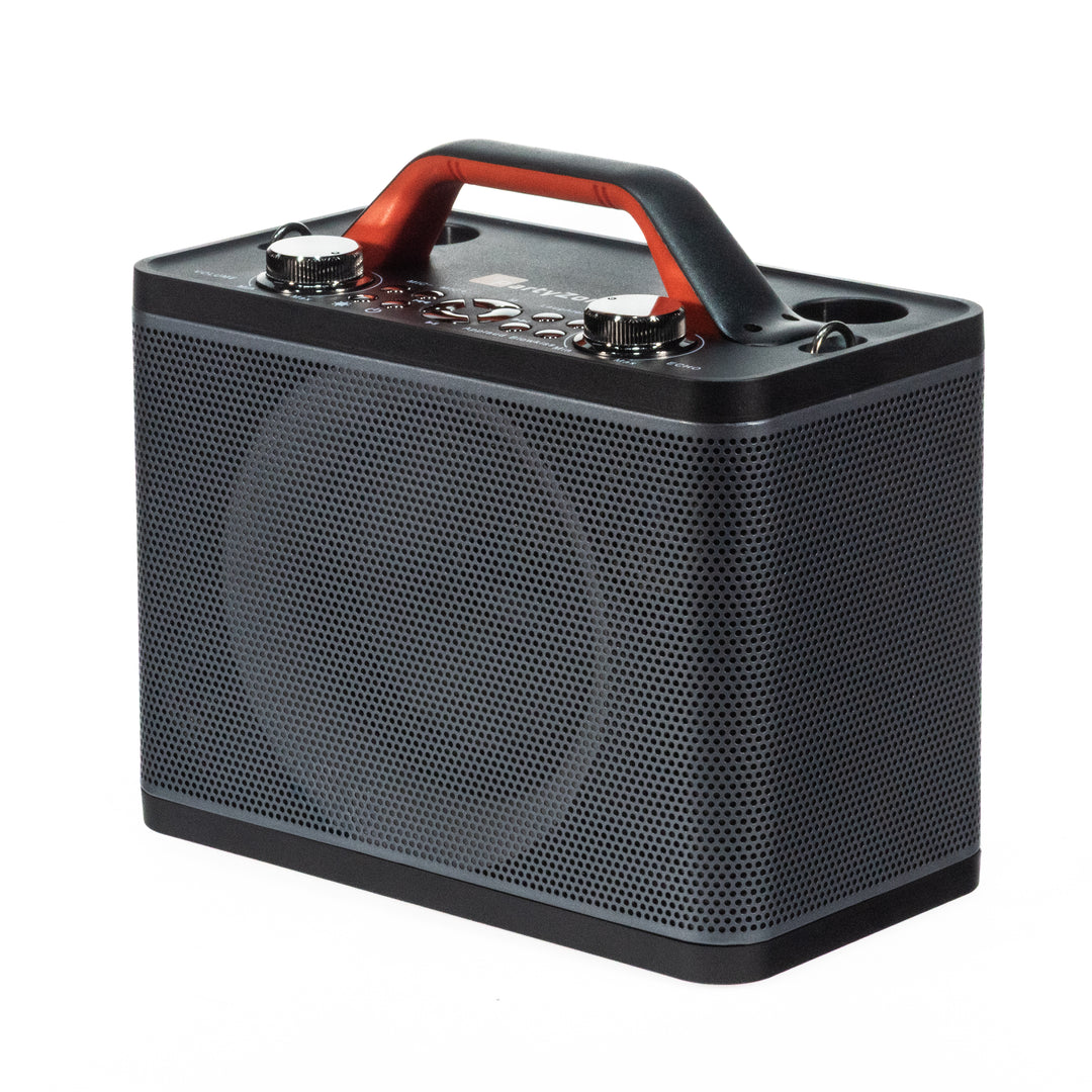 Sistema de karaoke con 2 micrófonos (Negro)