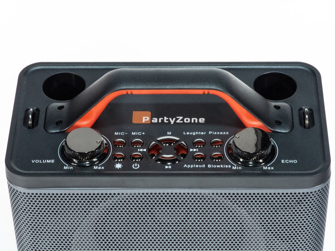 Sistema de karaoke con 2 micrófonos (Negro)