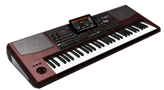 Korg PA-1000 Teclados (Bordeux)
