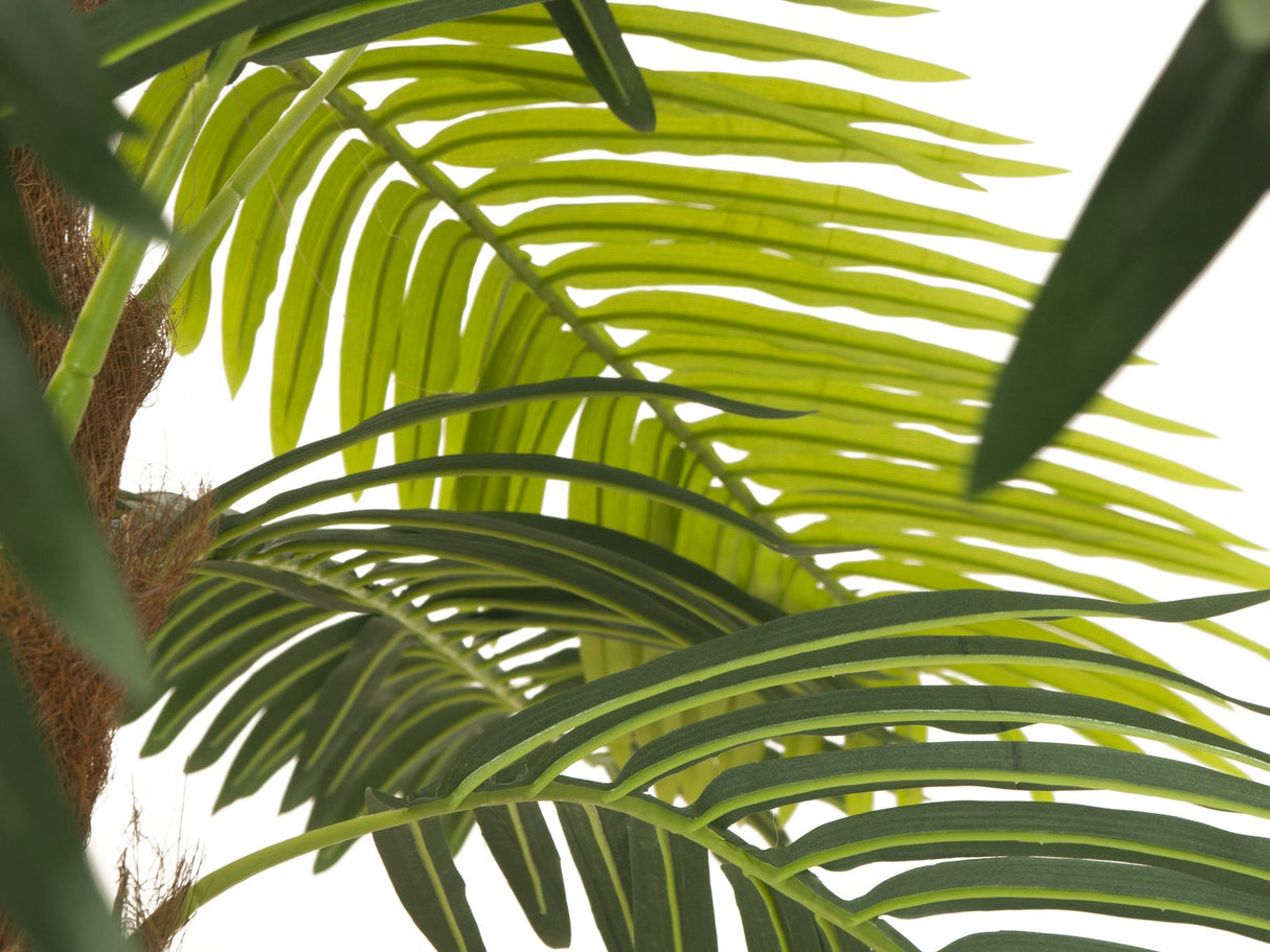 Artificial Phoenix palm deluxe, 300cm