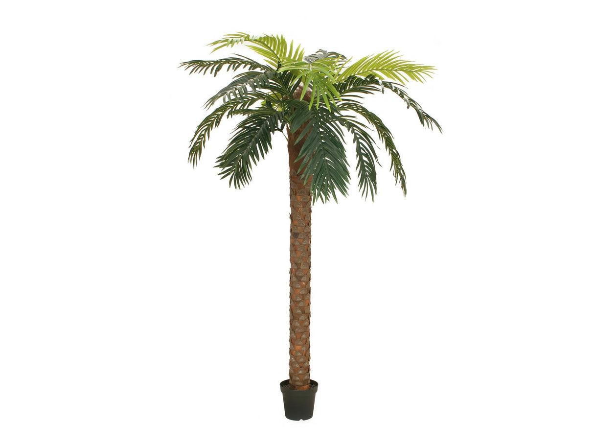 Artificial Phoenix palm deluxe, 300cm