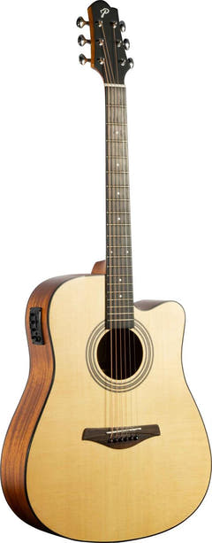 Pearl River L21-DCEQ Guitarra western electroacústica