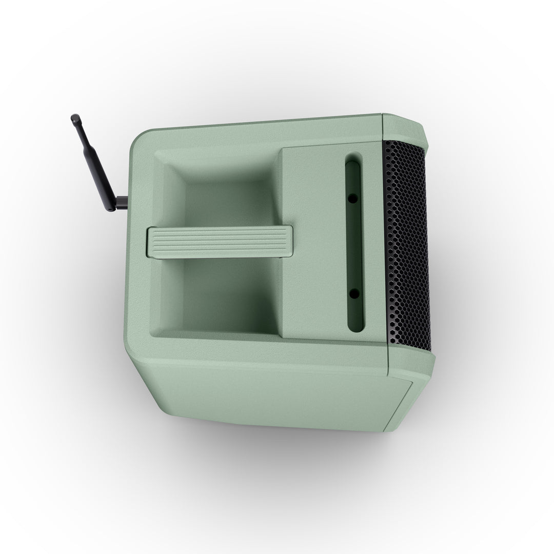 LD Systems ANNY® 8 HHD B6 GN - Altavoz PA portátil a batería con Bluetooth® con mixer y 1x micrófono inalámbrico de mano, verde aventura