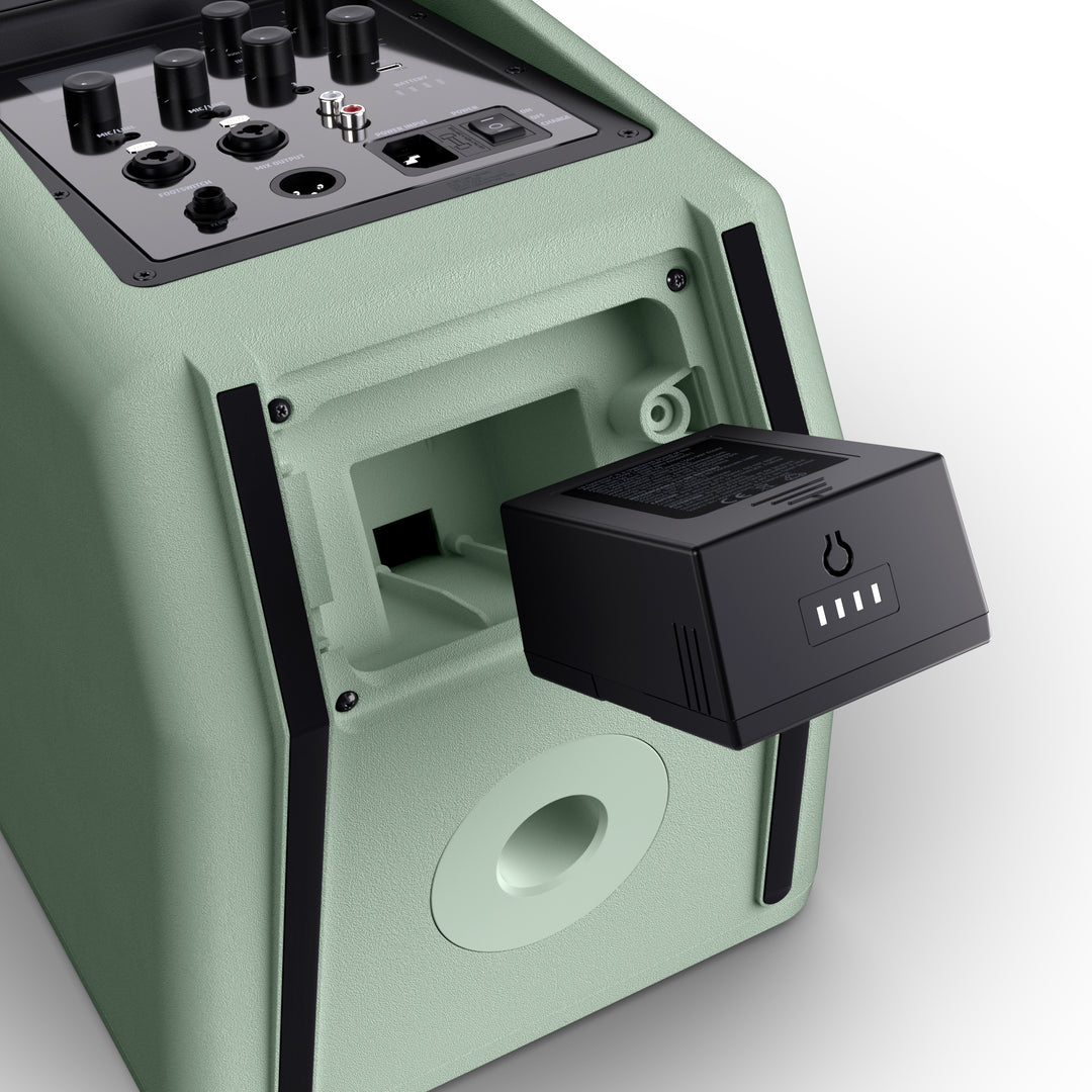 LD Systems ANNY® 8 HHD B6 GN - Altavoz PA portátil a batería con Bluetooth® con mixer y 1x micrófono inalámbrico de mano, verde aventura