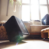 LD Systems ANNY® 8 HHD B8 - Altavoz PA portátil a batería con Bluetooth® con mixer y 1 x micrófono inalámbrico de mano, Black de escenario