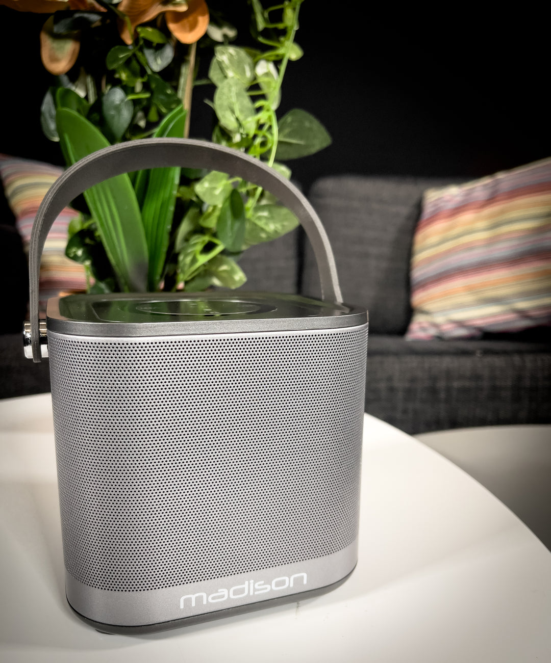 Madison Altavoz WiFi inalámbrico