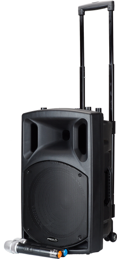 BST Nomad12 - Altavoz de Festival (400W)