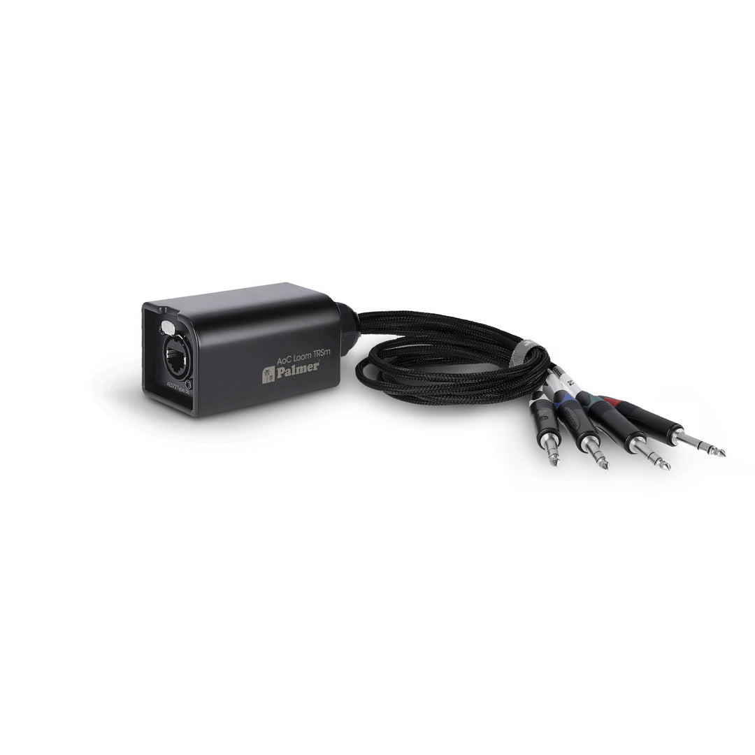 Palmer AoC Loom TRSm - Juego de cables de audio over Cat de etherCON a 4 x jack TRS de 6,3 mm