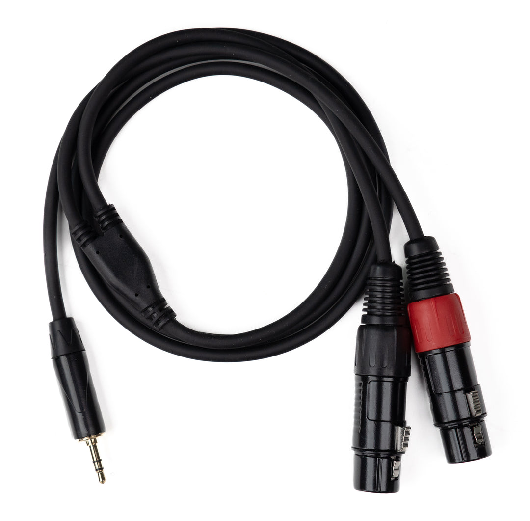 MINIJACK 3,5mm TRS Macho a 2x XLR Hembra (1,3m)