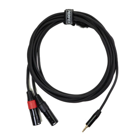 Perfex 2x XLR Macho a Minijack 3,5mm Cable (6m)