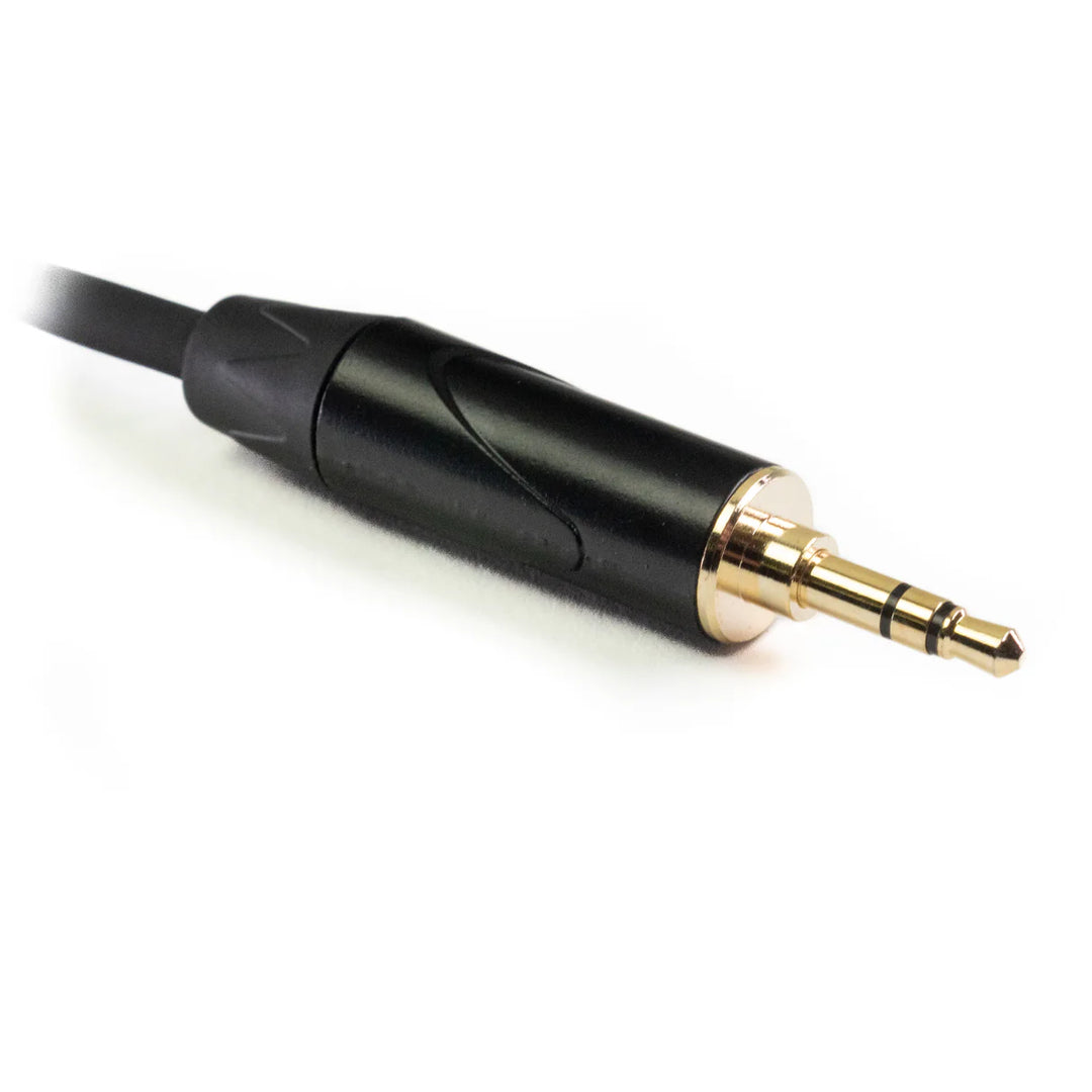 MINIJACK 3,5mm TRS Macho a 2x XLR Hembra (3m)