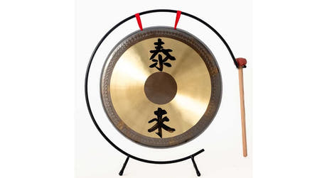 Dixon PGN-10 gong 10" con soporte