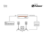 Palmer RIVER havel - Caja DI activa