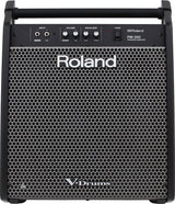Roland PM-200 Monitor