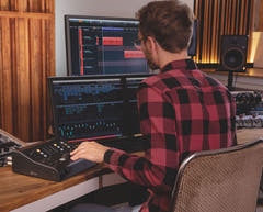 Palmer Monicon XL Controlador de monitor activo