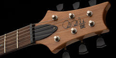 PRS SE "Paul's Guitar" Guitarra eléctrica (Turquoise)