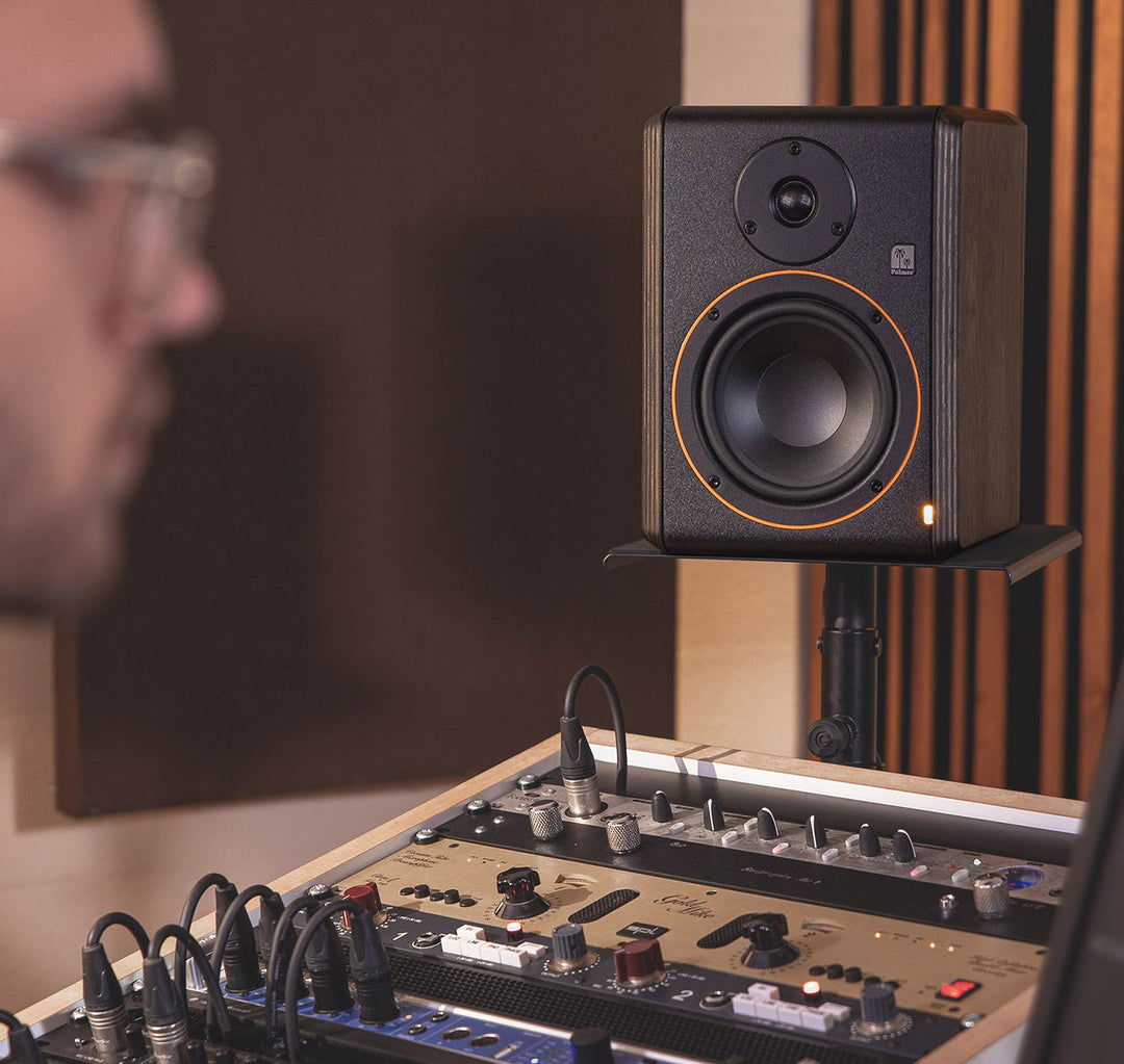 Palmer STUDIMON 5 - Monitor de estudio