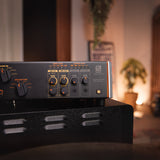 Palmer SUPREME SOAKER - Hub analógico de amplificador de válvulas dinámico