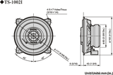 Pioneer TS-1002i