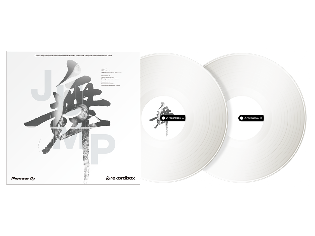 RB-VD2-W Rekordbox control vinyl (set de 2) (white)