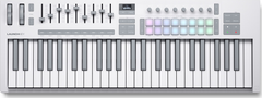 Novation Launchkey 49 MK4 MIDI-Teclados (Hvid)