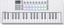 Novation Launchkey MINI 37 MK4 Teclados (Hvid)