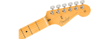 Fender American Professional II Stratocaster (Dark Night)