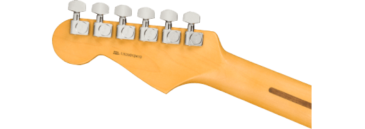 Fender American Professional II Stratocaster (Dark Night)