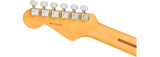 Fender American Professional II Stratocaster (Dark Night)