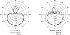Shure NXN8/S Nexadyne Micrófono Dinámico (Supercardioide, Negro)