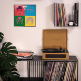 Studio 57 Groovy Giradiscos (Earth)