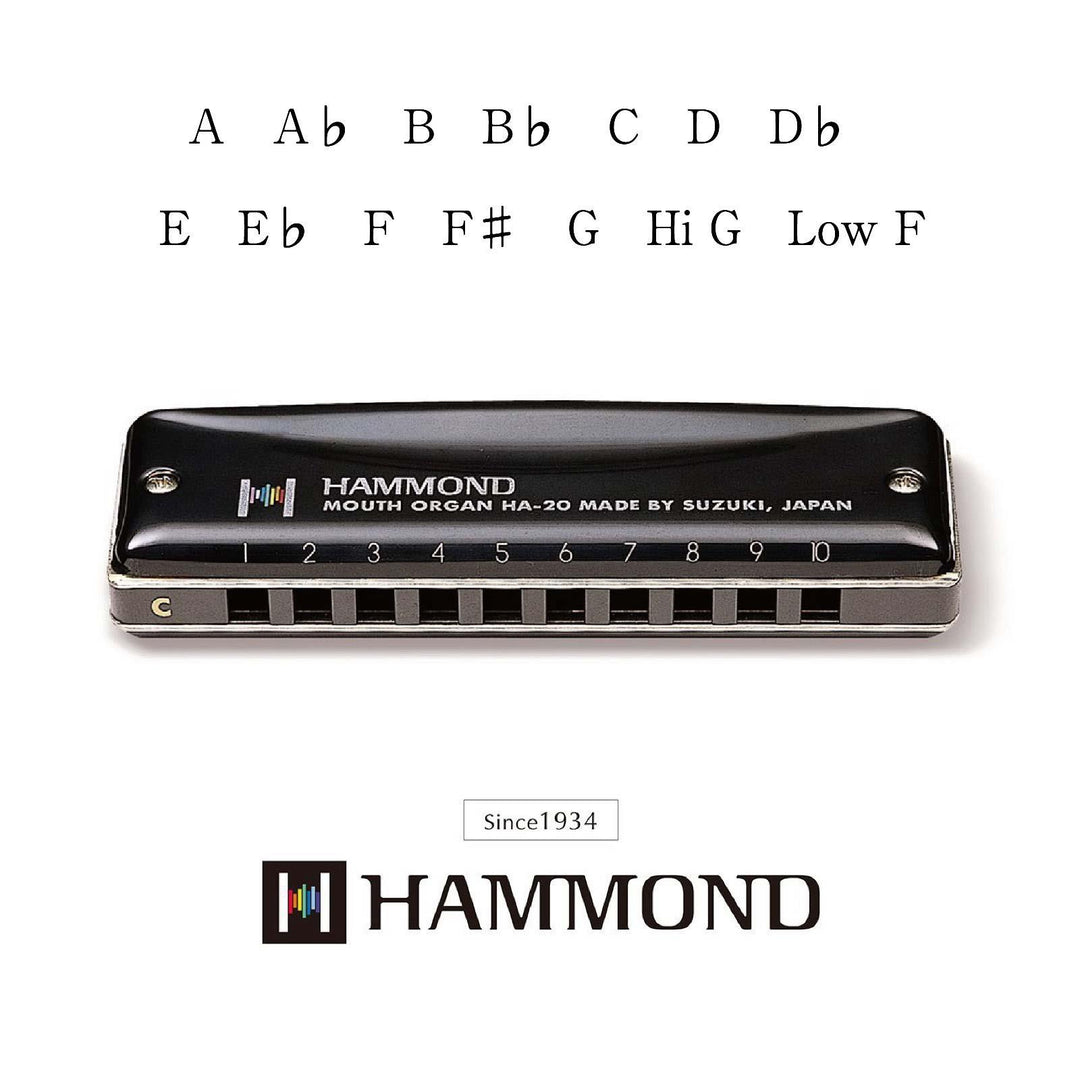 Hammond HA-20 Harmónicas (A)