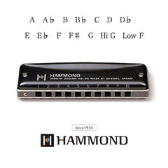 Suzuki Hammond HA-20 Harmónica (F#)