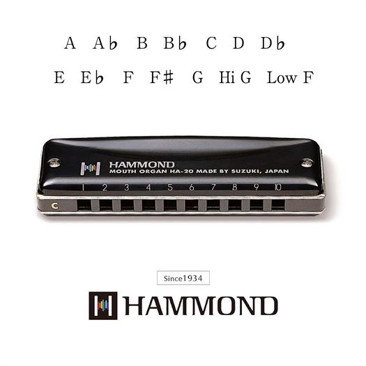 Suzuki Hammond HA-20 Harmónica (F#)