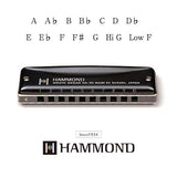 Suzuki Hammond HA-20 Harmónica (F#)