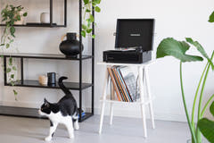 Crosley - Mueble para tocadiscos Manchester (Blanco)