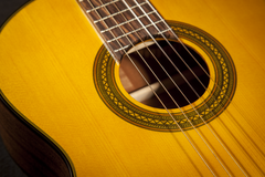 Takamine GC1C1CE-Night Classic Spanish Guitar (Nature)