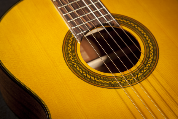 Takamine GC1C1CE-Night Classic Spanish Guitar (Nature)
