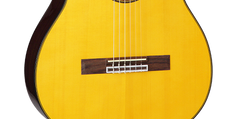 Takamine GC5CE-Night Classic Spanish Guitar (Nature)